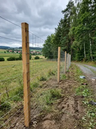 Wildzaun in Gelsenkirchen - fachgerechte Ausführung vor Ort